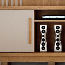 Estante Home Para Tv De Até 60'' Plenus Valdemóveis Cinamomo E Off White