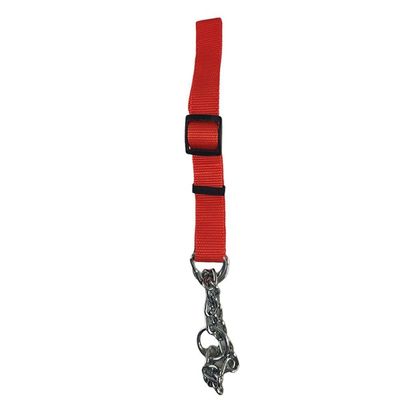 Coleira Ajustavel Guia 2.5cm Elo Torcido Caes Grande Porte