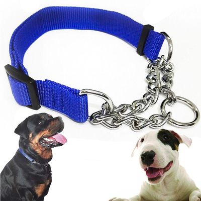 Coleira Cachorro Semienforcadora 2.0cm Ajustavel Elo Torcido
