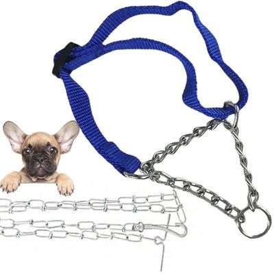 Kit Coleira Cao Cachorro Guia Semi Enforcadora Aço Zincado