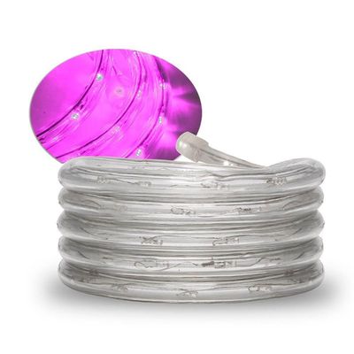 Corda Luminosa Led Taschibra 30 Leds 110v Alta Proteção Cores | Valor Do Metro Rosa