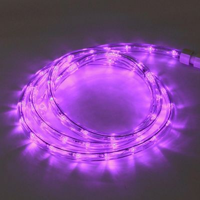 Corda Luminosa Led Taschibra 30 Leds 110v Alta Proteção Cores | Valor Do Metro Rosa
