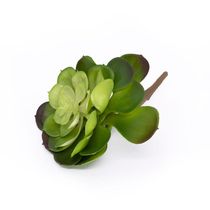 Suculenta Planta Artificial Verde 14x16 Cm - D'rossi