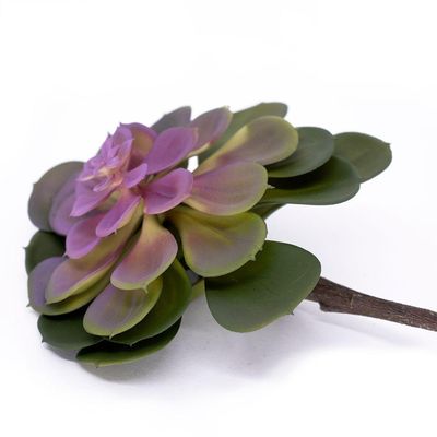Suculenta Planta Artificial Verde E Rosa 14x16 Cm - D'rossi