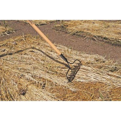 Ancinho Com Haste Leve Com 14 Dentes Tramontina Em Aço Com Cabo De Madeira 145 Cm Tramontina