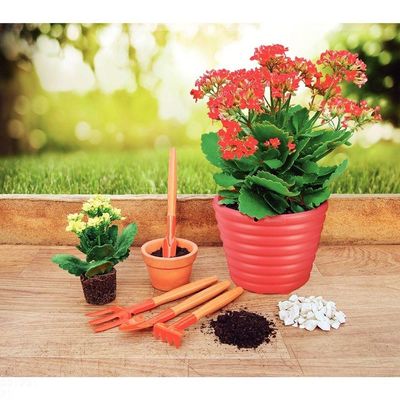 Conjunto Para Jardinagem Tramontina Peças Metálicas Com Cabo De Madeira 4 Peças Tramontina