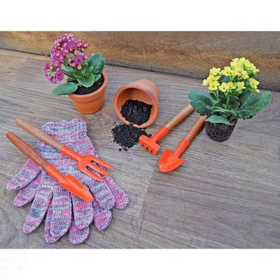 Conjunto Para Jardinagem Tramontina Peças Metálicas Com Cabo De Madeira 4 Peças Tramontina