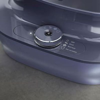 Vaporizador de Roupas Electrolux Expert EGS20 1800W 2,5L - Azul azul / 110