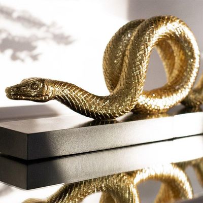 Aparador De Livros Serpente Em Poliresina Dourado - D'rossi