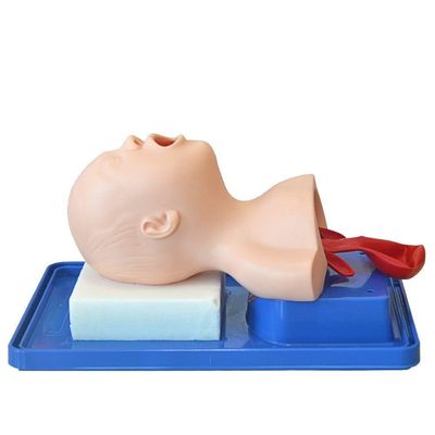 Cabeça De Bebê Intubação Avançado Simulador Médico